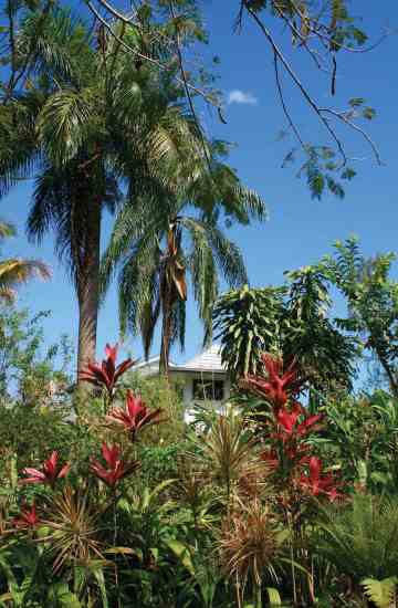Hotel Mocking Bird Hill's 6.5 acres of organic tropical gardens attract more than 60 bird species.